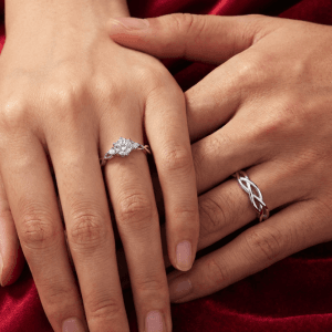 Titanium Plated Premium Couple Ring